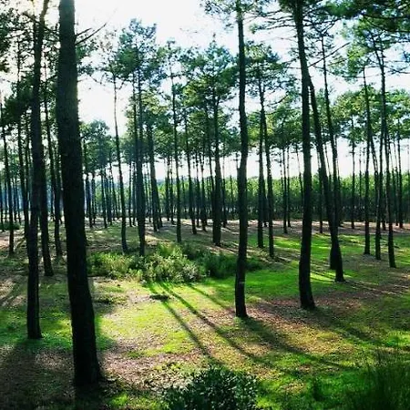 Le Rivage Semesterbostad Biscarrosse-Plage