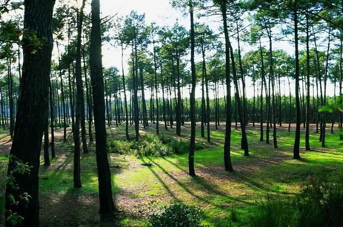 Le Rivage Prázdninový dům Biscarrosse-Plage